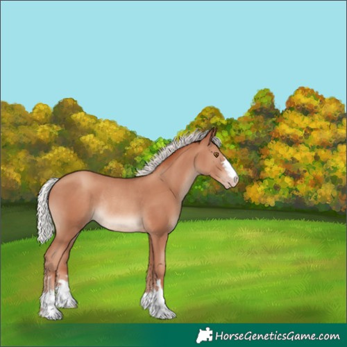 Horse Color:Silver Classic Champagne Rabicano 