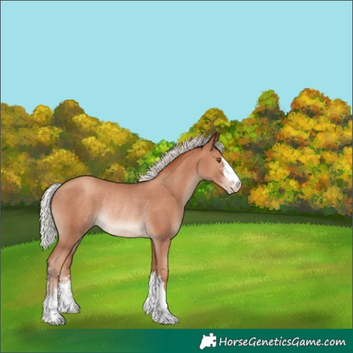 Horse Color:Silver Classic Champagne Rabicano 