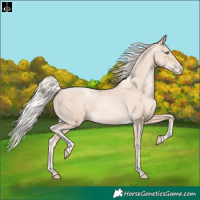 Horse Color:Gold Cream Champagne Pearl