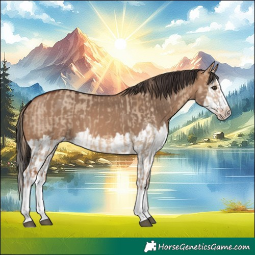 Horse Color:Red Dun Splash and Bay Dun Splash