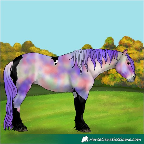 Horse Color:Nacre Watercolor Brown Onyx Tobiano Rabicano