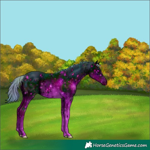 Horse Color:ERROR: UNKNOWN ANOMALY