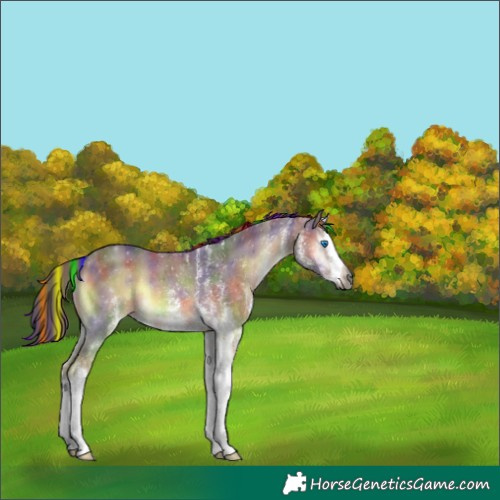 Horse Color:Gray Painted Nacre White Spotted Red Onyx Splash Rabicano 