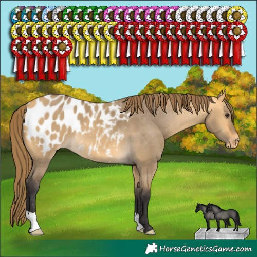 Horse Color:Buckskin Dun Blanket