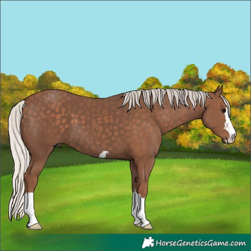 Horse Color:Silver Black 