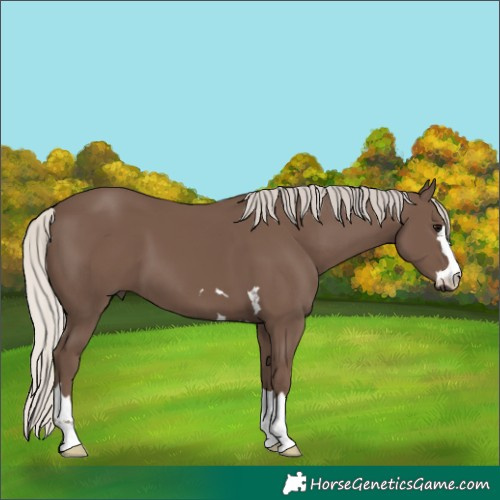 Horse Color:Silver Black 