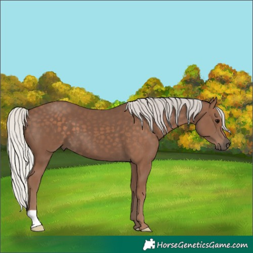Horse Color:Silver Black 