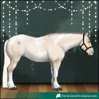 Horse Color:Silver Grullo Roan Pearl Tobiano Frame 