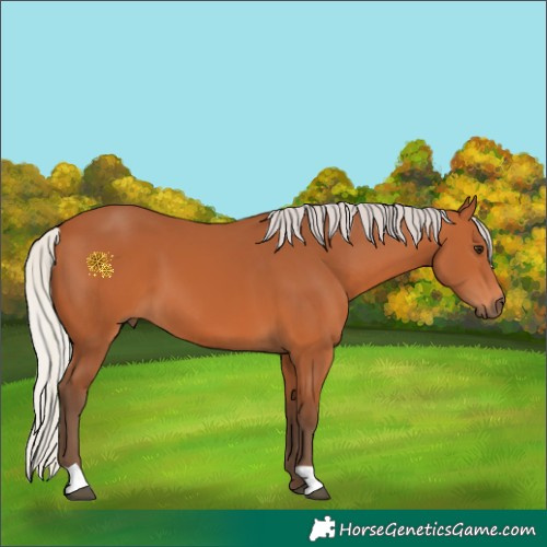 Horse Color:Silver Bay 