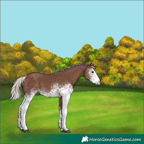 Horse Color:White Spotted Silver Black Varnish 