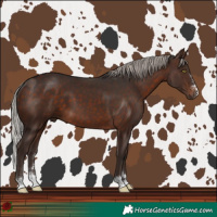 Horse Color:Silver Brown 
