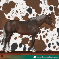 Horse Color:Silver Brown 