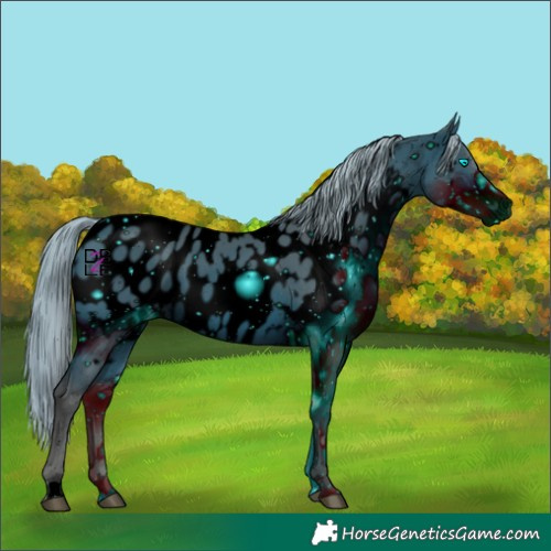 Horse Color:ERROR: UNKNOWN ANOMALY