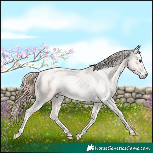 Horse Color:Classic Champagne Pearl Mushroom Sabino Varnish