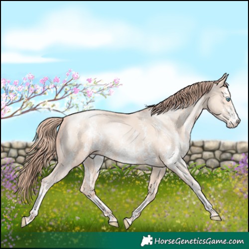 Horse Color:Classic Champagne Pearl Mushroom Sabino Appaloosa