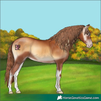 Horse Color:Gray Gold Champagne Onyx 