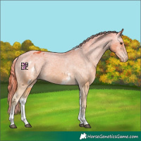 Horse Color:White Spotted Chestnut Tobiano Appaloosa 
