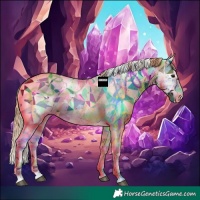 Horse Color:White Spotted Chestnut Sabino Appaloosa 