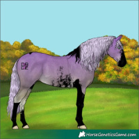 Horse Color:Void Watercolor Gold Cream Champagne Sabino Tobiano
