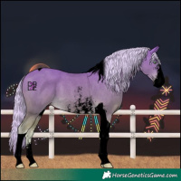 Horse Color:Void Watercolor Gold Cream Champagne Sabino Tobiano 