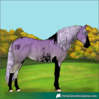 Horse Color:Void Watercolor Gold Cream Champagne Sabino Tobiano 