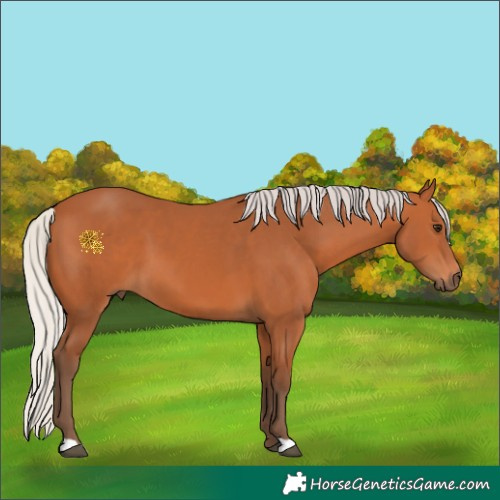 Horse Color:Silver Bay 
