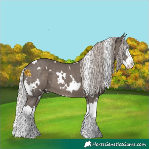 Horse Color:White Spotted Silver Black Splash 