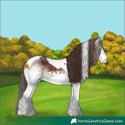 Horse Color:White Spotted Liver Chestnut Tobiano 
