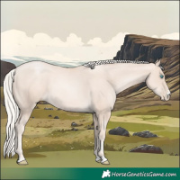 Horse Color:Gold Cream Champagne Pearl