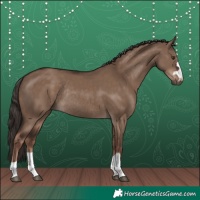 Horse Color:Liver Red Dun Rabicano