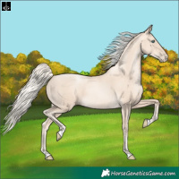 Horse Color:Gold Cream Champagne Pearl 