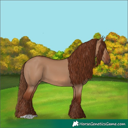 Horse Color:Red Dun 
