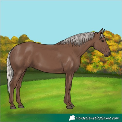 Horse Color:Silver Black 