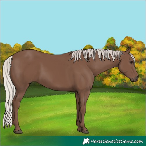 Horse Color:Silver Black 