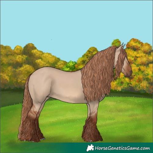 Horse Color:Red Dun 