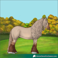 Horse Color:Unknown 