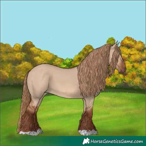 Horse Color:Red Dun 