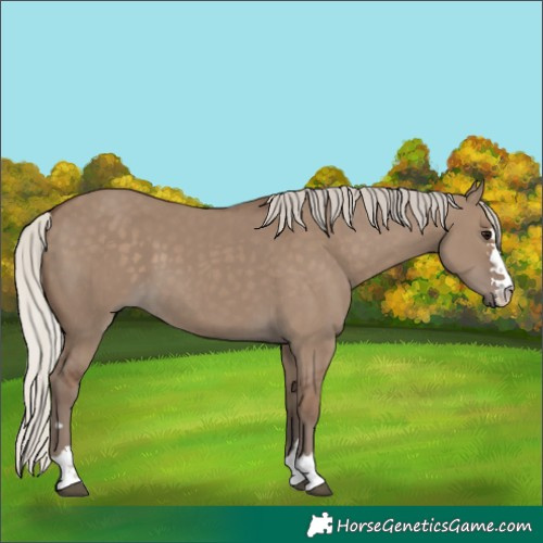 Horse Color:Silver Grullo