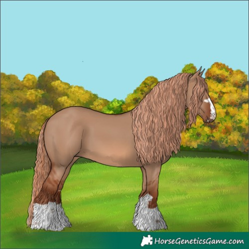 Horse Color:Red Dun 