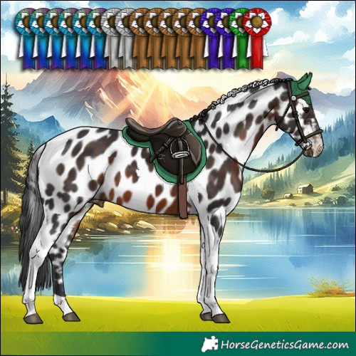 Horse Color:Brown Tobiano Leopard 