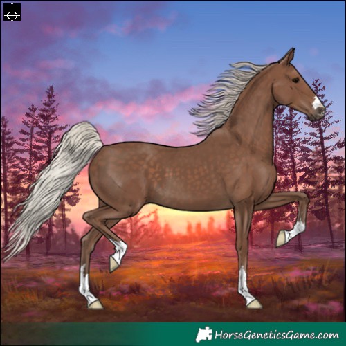 Horse Color:Silver Black