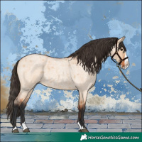 Horse Color:Bay Roan Dun Splash 