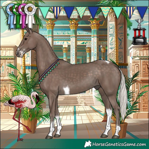 Horse Color:Silver Black Sabino Tobiano 