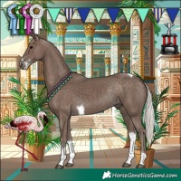 Horse Color:Silver Black Sabino Tobiano
