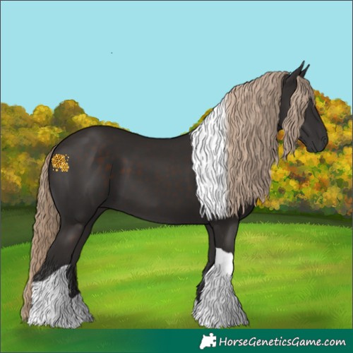 Horse Color:Liver Chestnut Tobiano 