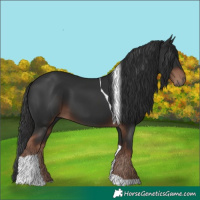 Horse Color:Liver Chestnut Tobiano 