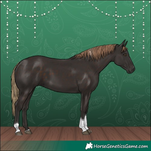 Horse Color:Liver Chestnut Tobiano 