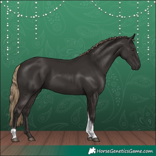 Horse Color:Liver Chestnut Tobiano 