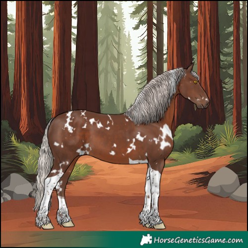 Horse Color:White Spotted Silver Black Tobiano 