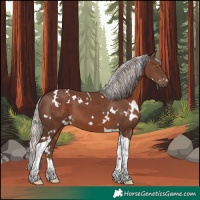 Horse Color:White Spotted Silver Black Tobiano